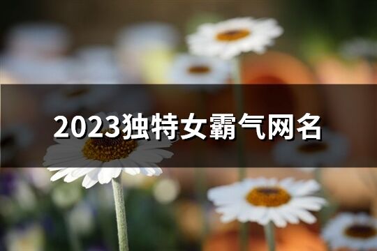 2023獨(dú)特女霸氣網(wǎng)名(538個(gè))