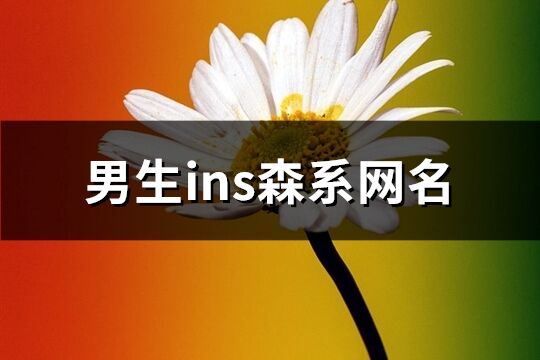 男生ins森系網名(共92個)