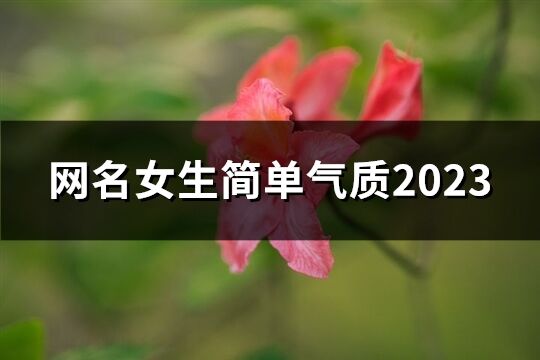 網(wǎng)名女生簡單氣質(zhì)2023(844個)