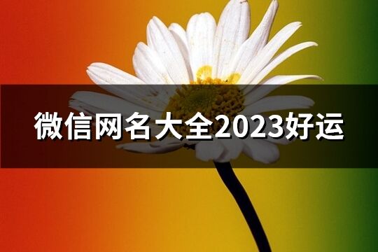 微信網名大全2023好運(精選1248個)