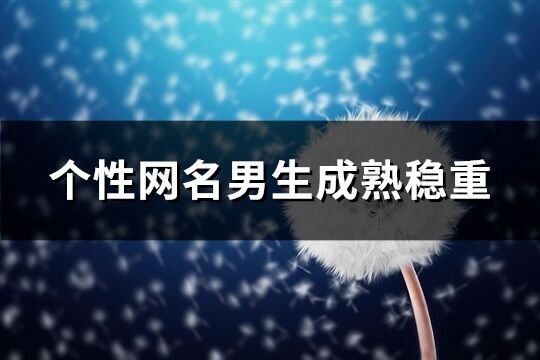 個性網名男生成熟穩重(共1212個)