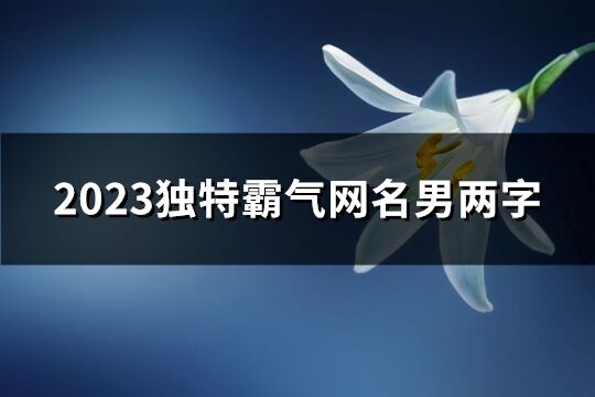 2023獨特霸氣網名男兩字(870個)