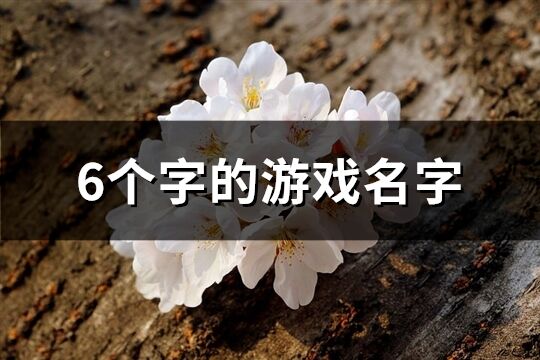 6個字的游戲名字(共1343個)