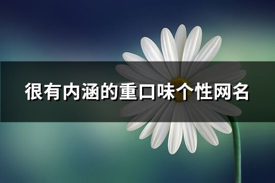 很有內(nèi)涵的重口味個(gè)性網(wǎng)名(精選223個(gè))