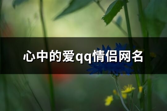 心中的愛qq情侶網名(優選302個)