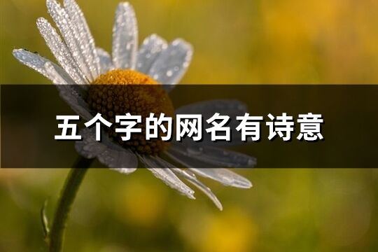 五個字的網名有詩意(1368個)