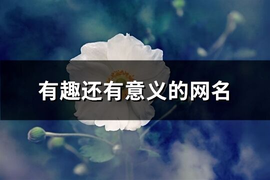 有趣還有意義的網(wǎng)名(共443個)