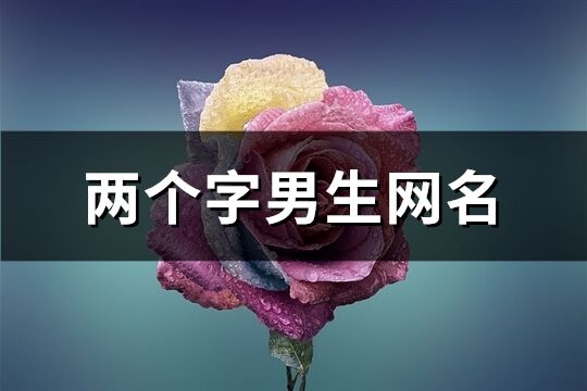 兩個字男生網名(610個)