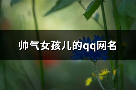帥氣女孩兒的qq網名(精選140個)