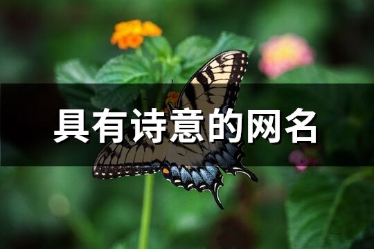 具有詩意的網名(409個)
