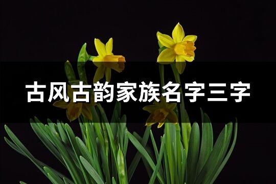 古風古韻家族名字三字(124個)