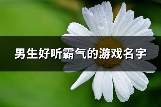 男生好聽霸氣的游戲名字(精選532個)