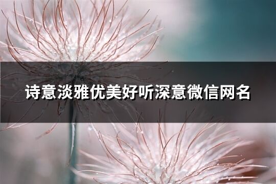 詩意淡雅優美好聽深意微信網名(優選332個)