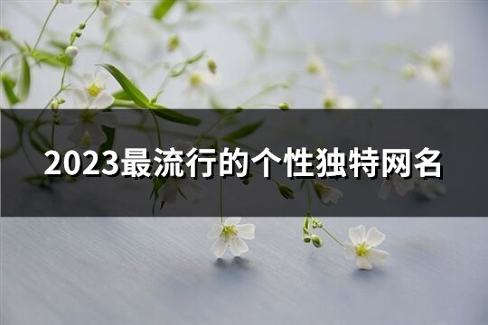 2023最流行的個(gè)性獨(dú)特網(wǎng)名(1873個(gè))