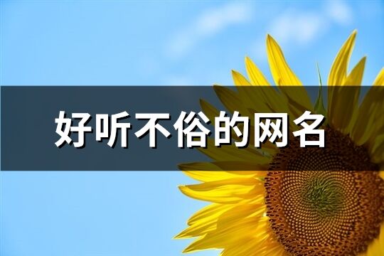 好聽不俗的網名(共240個)