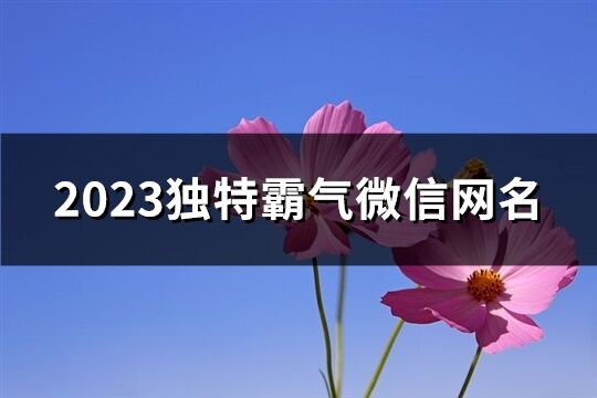 2023獨(dú)特霸氣微信網(wǎng)名(精選1066個(gè))