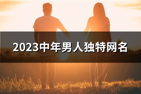 2023中年男人獨特網名(優選465個)