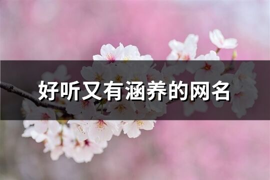 好聽又有涵養的網名(共1071個)