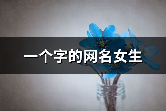一個字的網名女生(優選177個)
