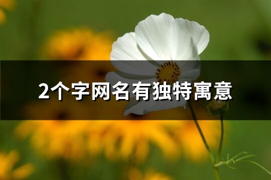 2個字網(wǎng)名有獨特寓意(共946個)