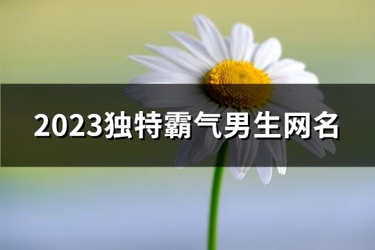 2023獨特霸氣男生網名(精選1127個)