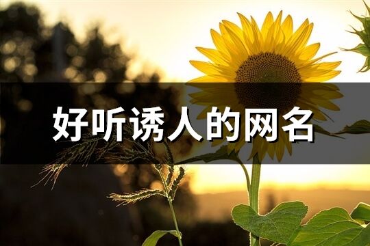 好聽誘人的網名(共415個)