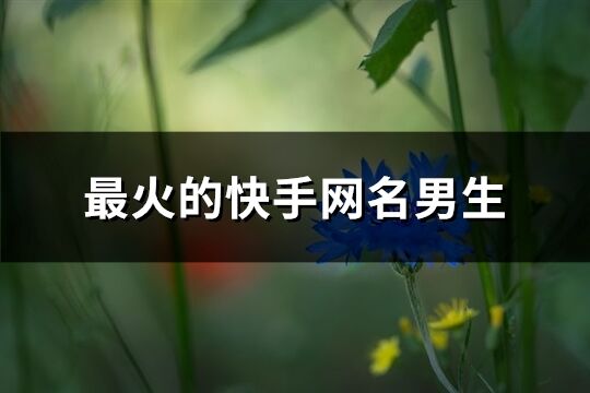 最火的快手網名男生(優選457個)
