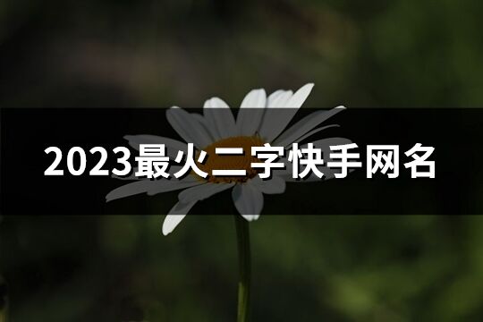2023最火二字快手網(wǎng)名(優(yōu)選1703個)