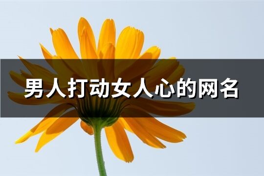男人打動女人心的網名(精選250個)
