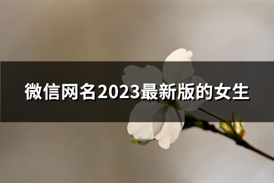 微信網(wǎng)名2023最新版的女生(2757個(gè))