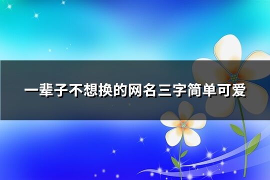 一輩子不想換的網名三字簡單可愛(913個)