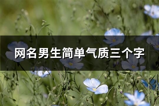 網名男生簡單氣質三個字(共287個)