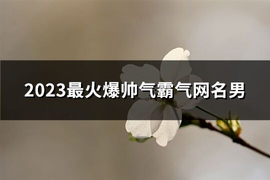 2023最火爆帥氣霸氣網名男(1302個)