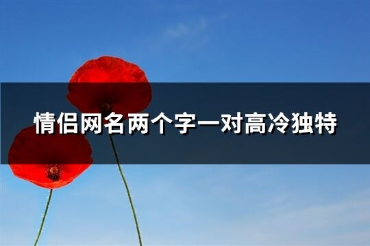 情侶網名兩個字一對高冷獨特(精選219個)