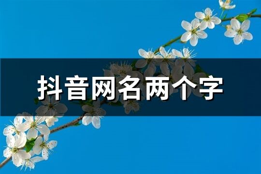 抖音網名兩個字(優選856個)