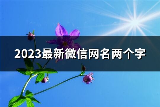 2023最新微信網名兩個字(優選1329個)