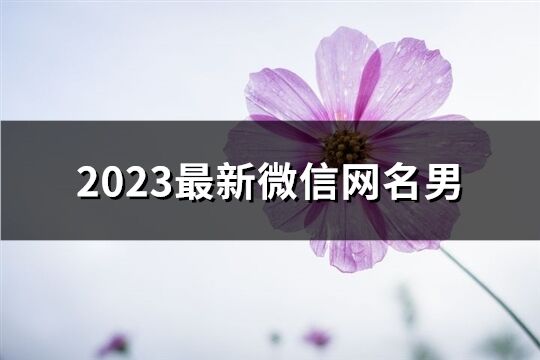 2023最新微信網(wǎng)名男(精選3977個)