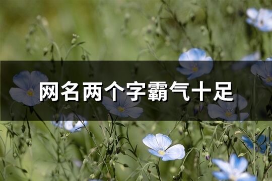 網名兩個字霸氣十足(精選407個)
