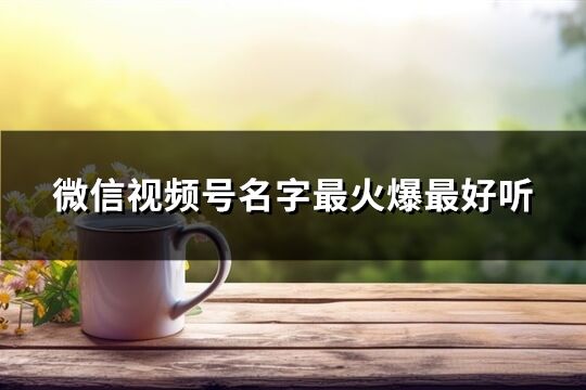 微信視頻號名字最火爆最好聽(共381個)
