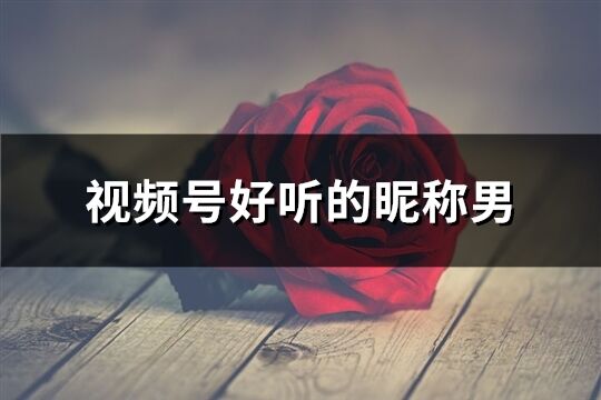 視頻號(hào)好聽(tīng)的昵稱男(精選409個(gè))