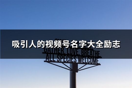 吸引人的視頻號名字大全勵志(共169個)
