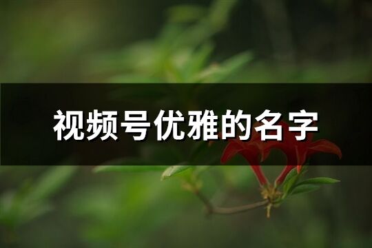 視頻號優雅的名字(優選95個)