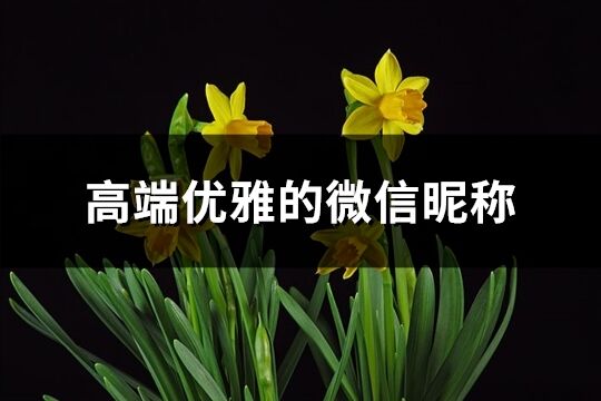 高端優雅的微信昵稱(923個)
