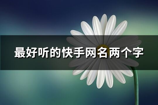 最好聽的快手網名兩個字(共732個)