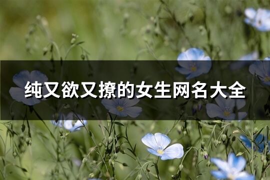 純又欲又撩的女生網(wǎng)名大全(共140個(gè))