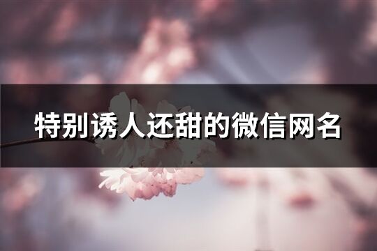 特別誘人還甜的微信網(wǎng)名(精選432個)