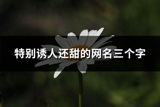特別誘人還甜的網名三個字(316個)