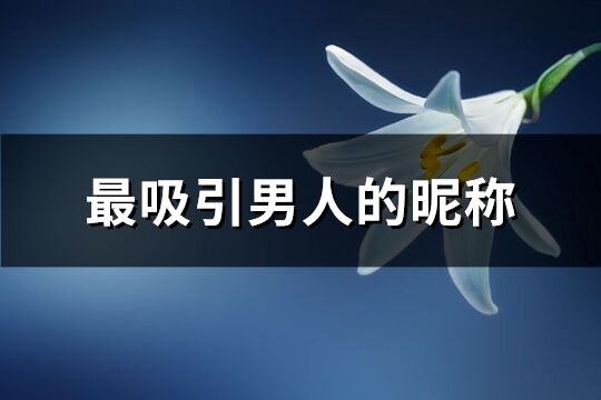 最吸引男人的昵稱(優選434個)