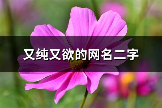 又純又欲的網名二字(209個)