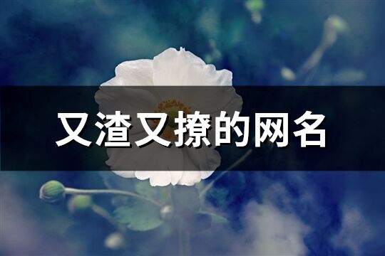 又渣又撩的網(wǎng)名(優(yōu)選162個(gè))